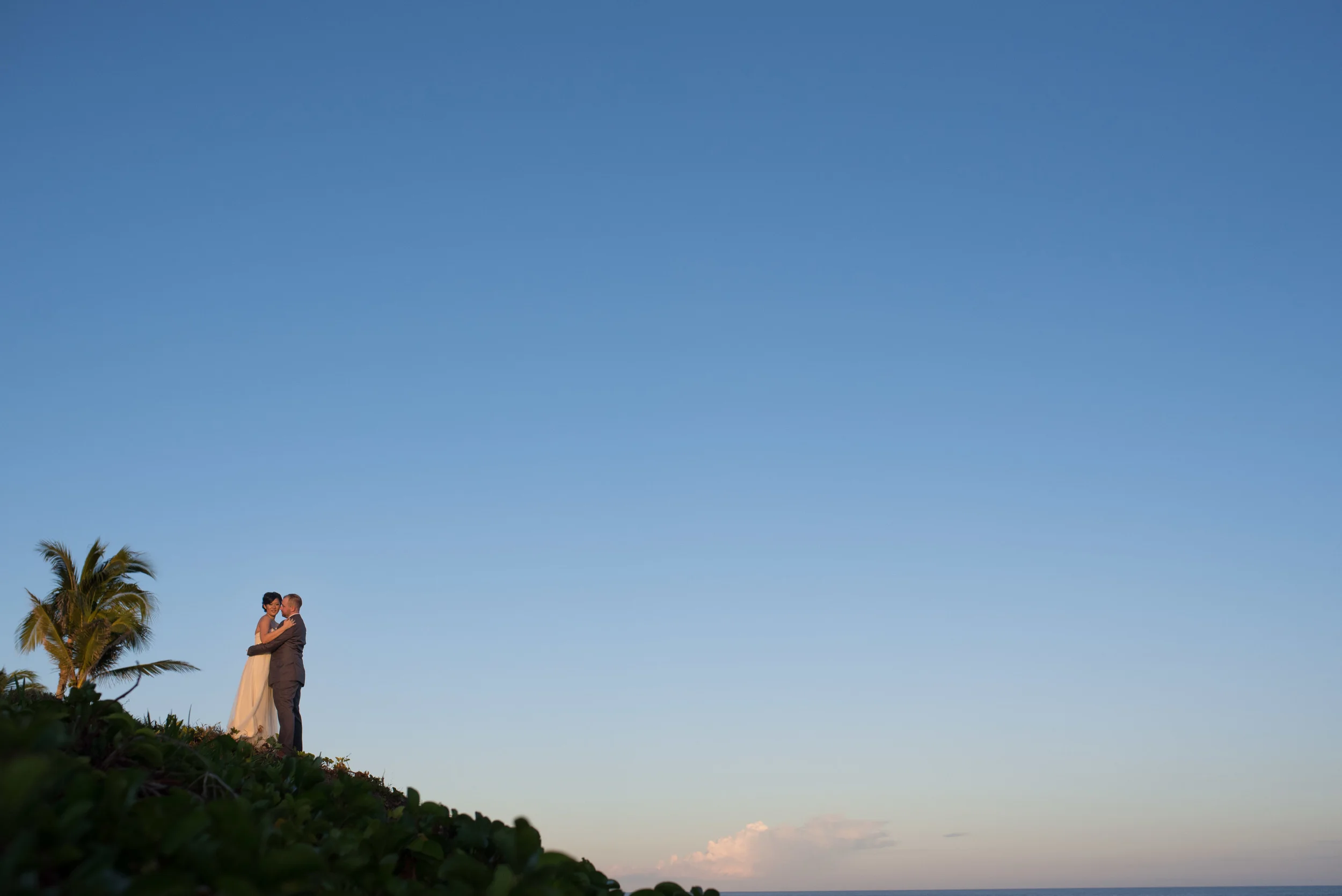 Puerto Los Cabos wedding. Dave and Amy