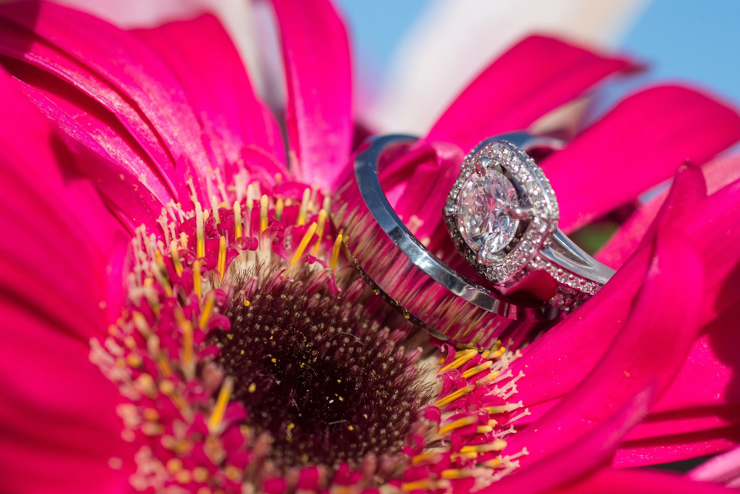 Destination weddings074.jpg