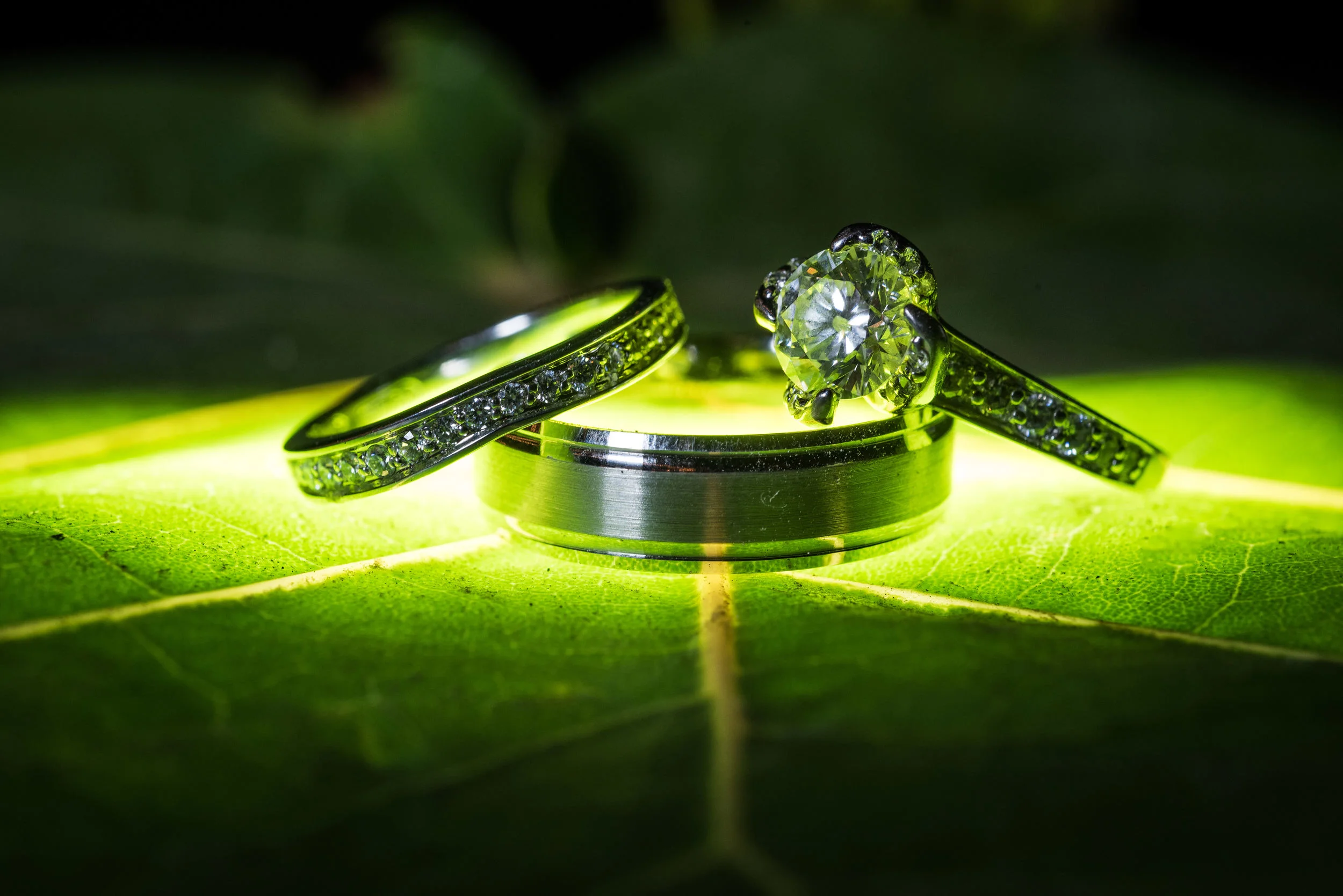 San Jose del Cabo wedding. Amery & Dustin