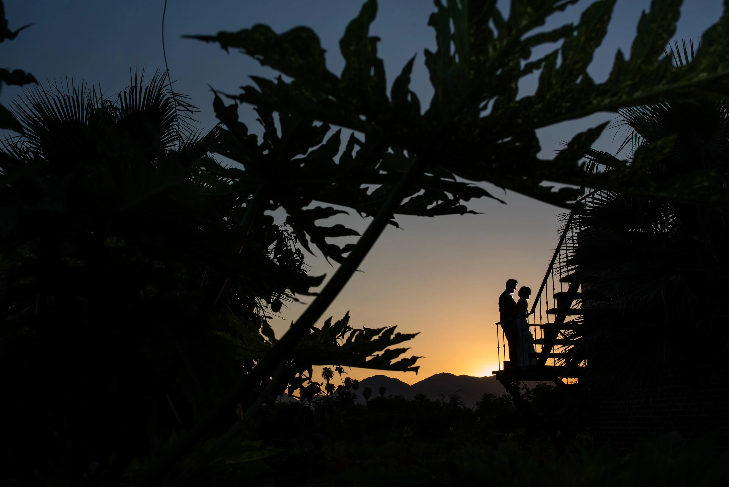 Wedding at Flora Farm Los Cabos. Joyce & James