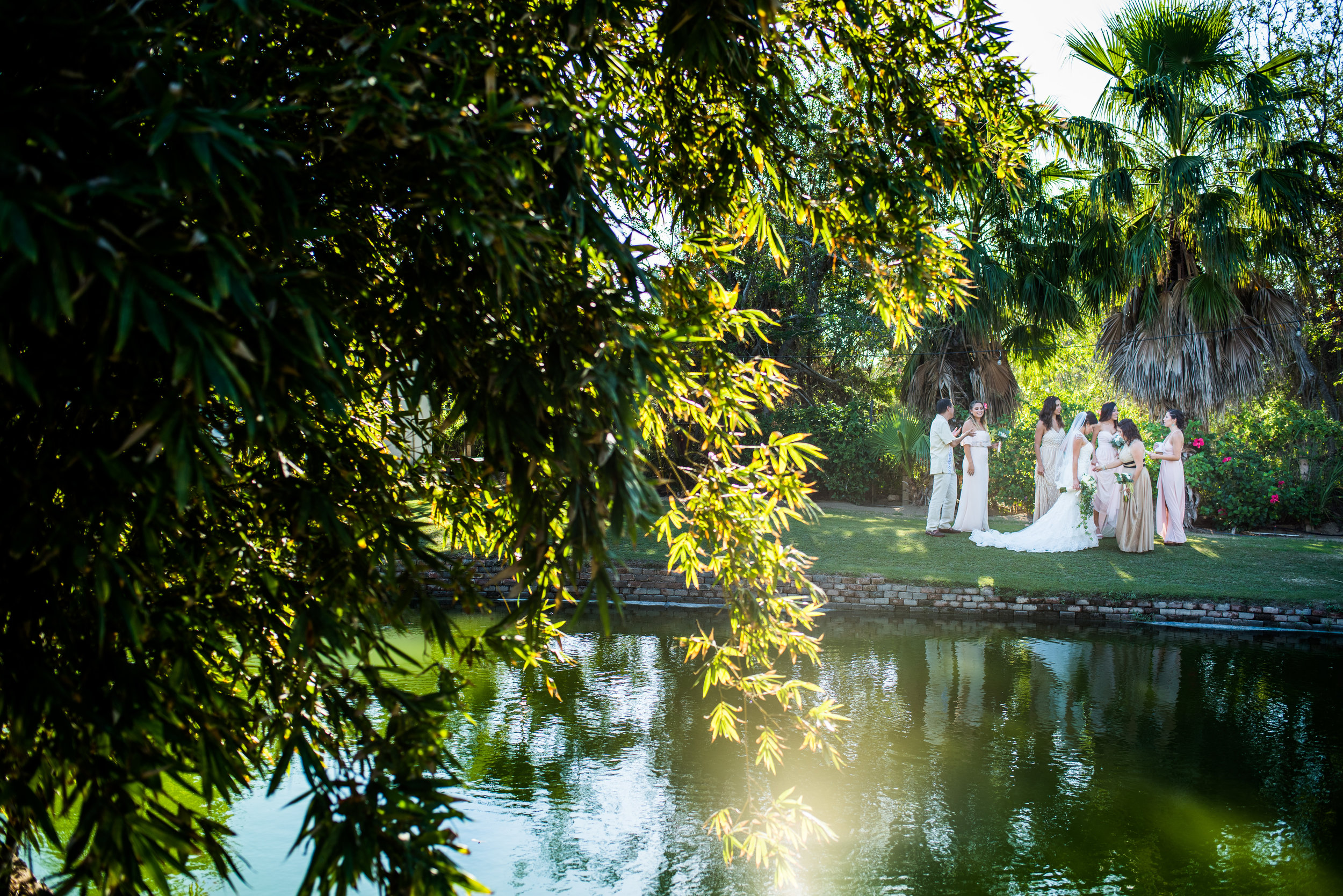 los-cabos-flora-farms-wedding