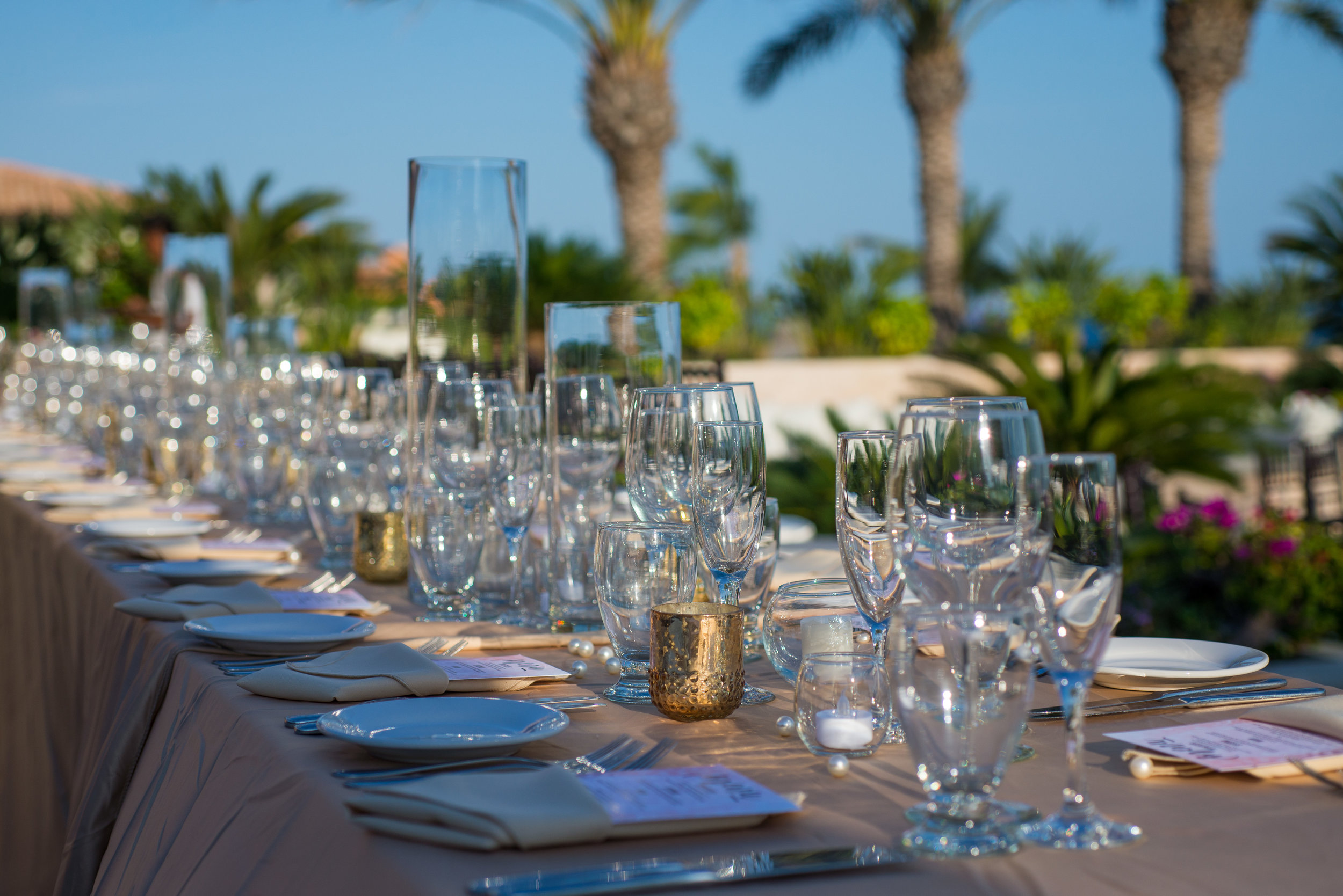 Cabo destination wedding-9.JPG