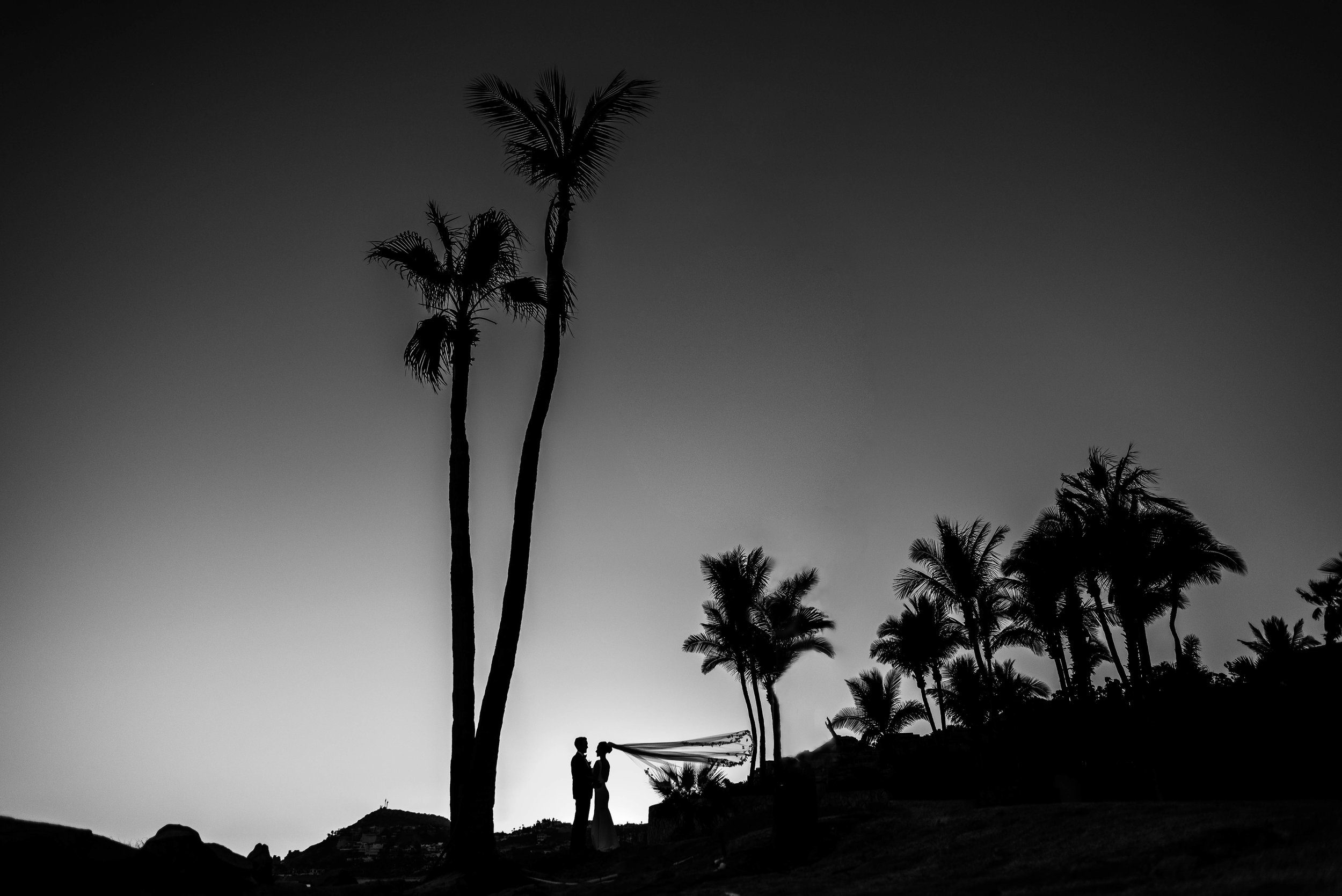 One &amp; Only Palmilla Wedding Photos