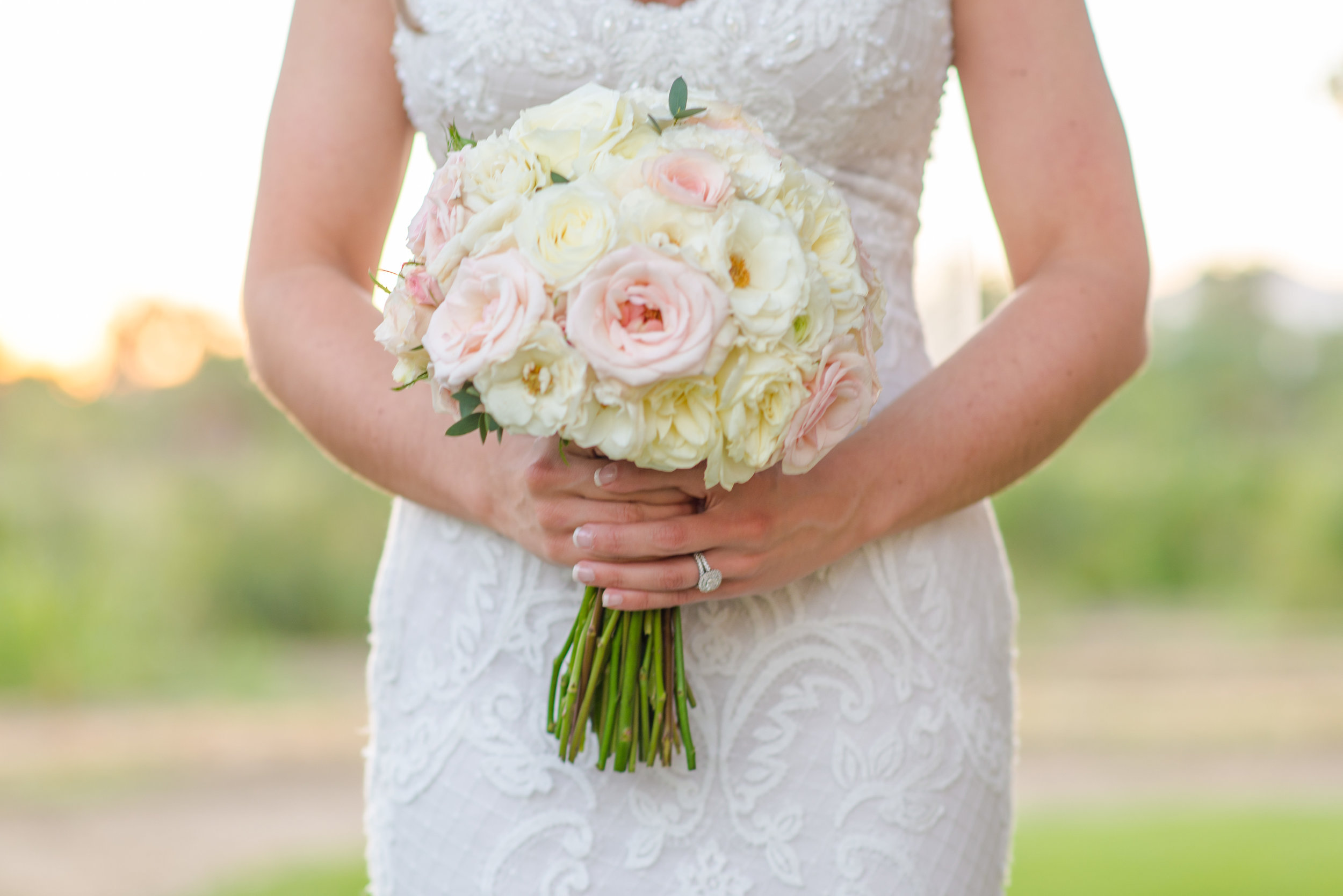 cabo-wedding-photographers