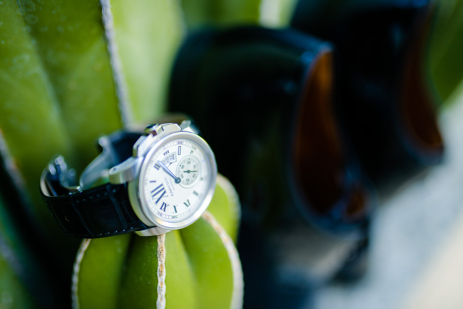 Watch detail picture on top of a cactus (Copy)