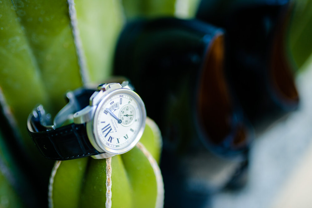 Watch detail picture on top of a cactus