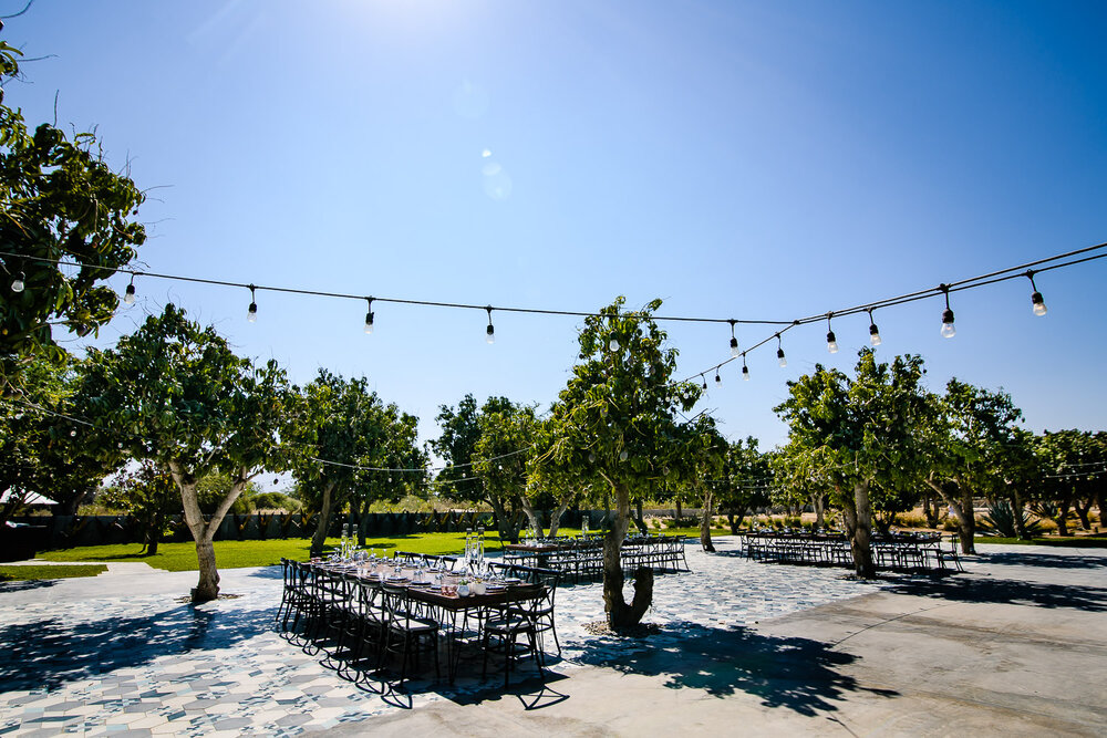 Wedding reception at Acre Baja