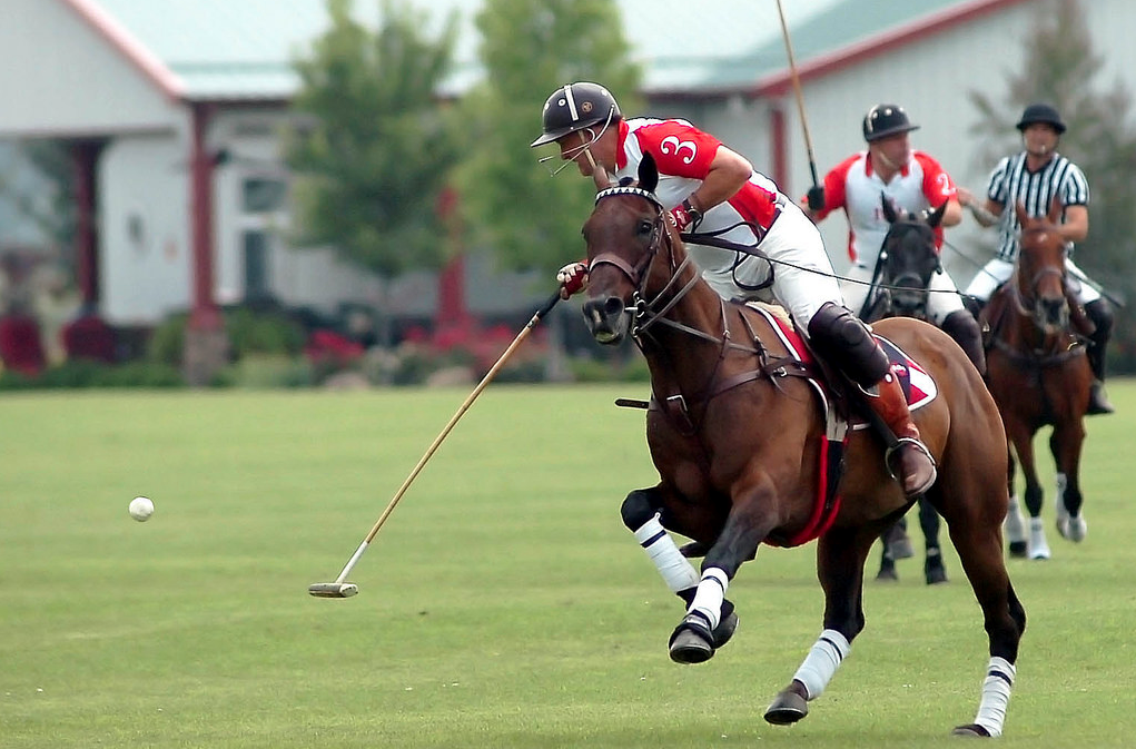 Polo Sport field