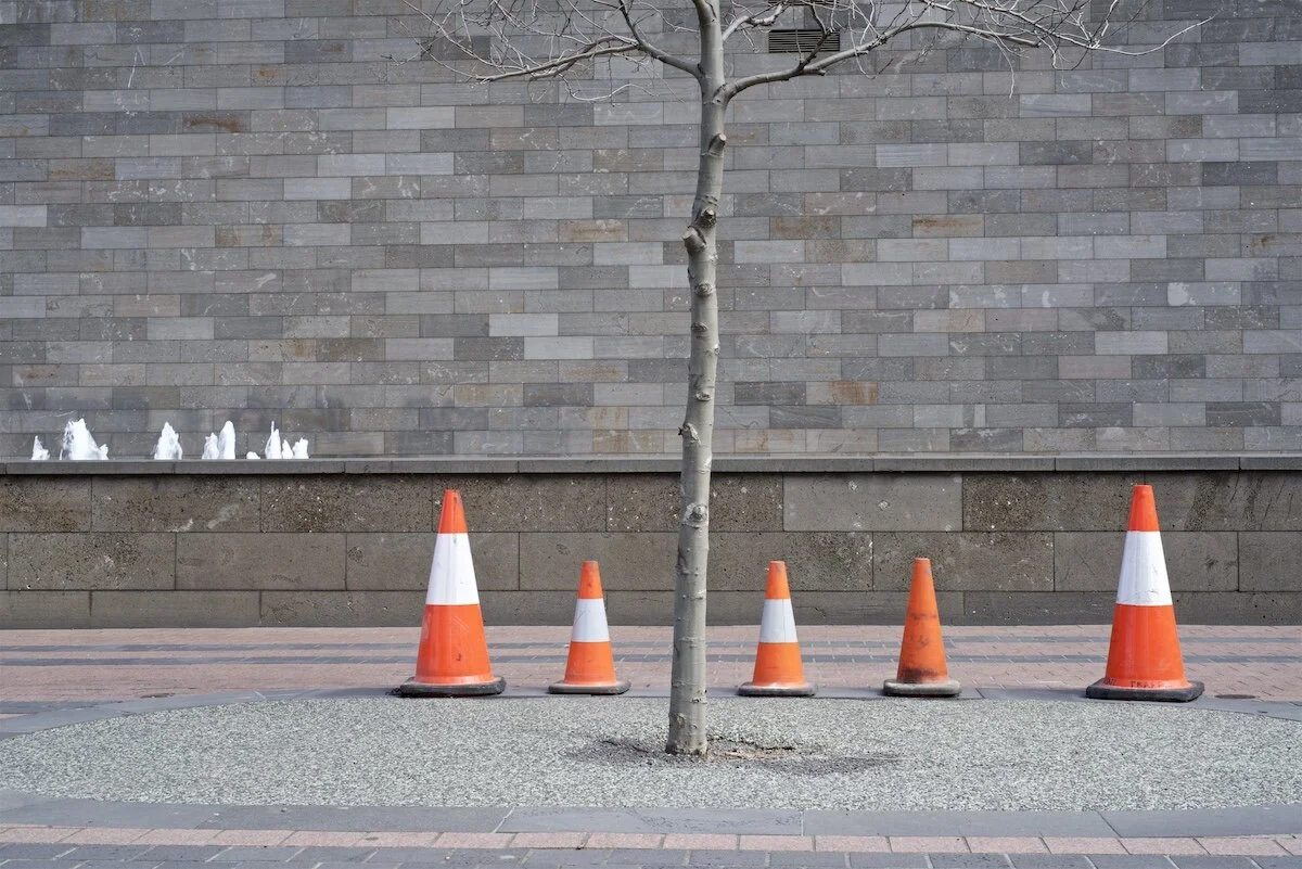 cones11.jpg