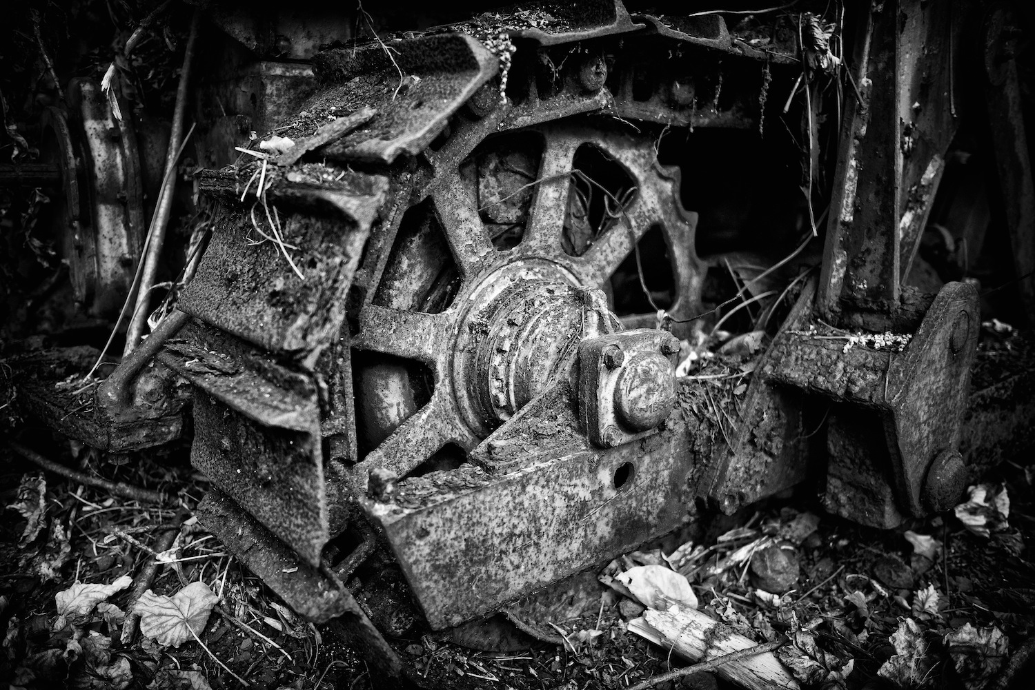 relics 2013 1.jpg