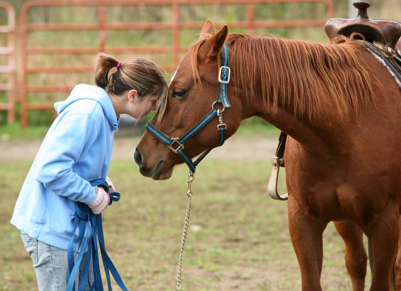 vaccine vaccination West Nile equine vet veterinarian doctor Calgary Cochrane Alberta
