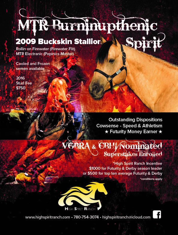 MTR Burninupthenic Spirit stallion standing alberta