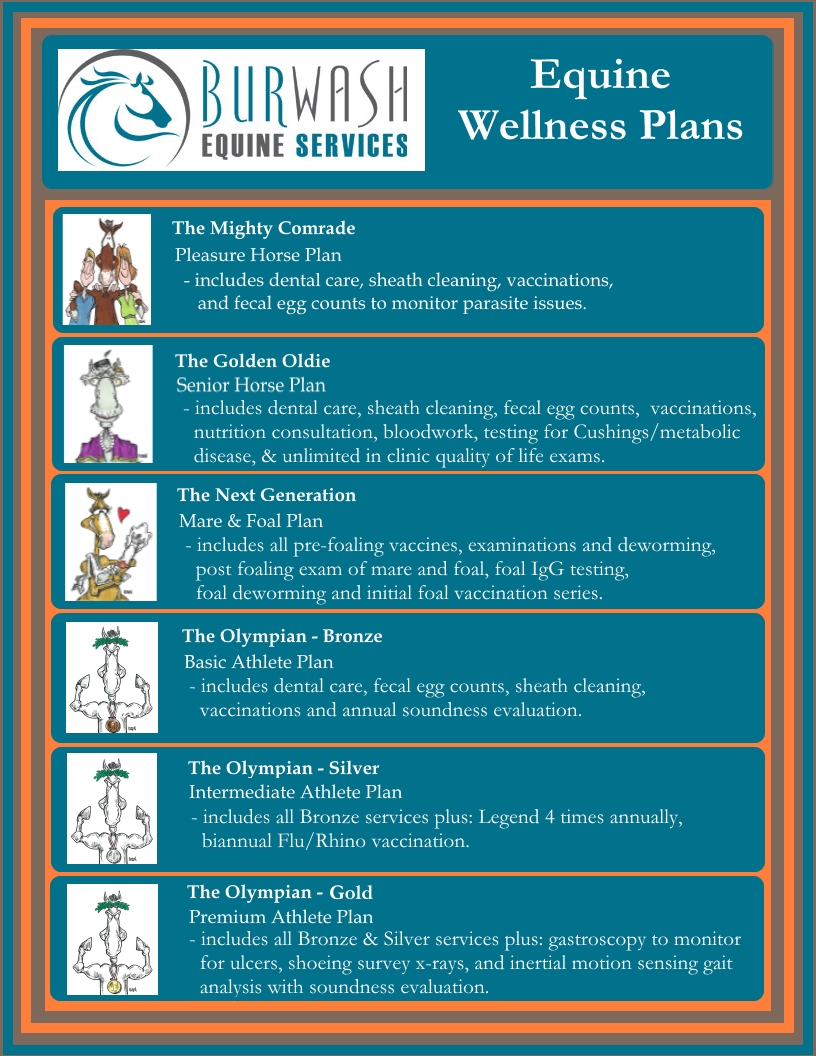 Wellness Plan Burwash Equine horse equine vet veterinarian doctor Cochrane Calgary Alberta