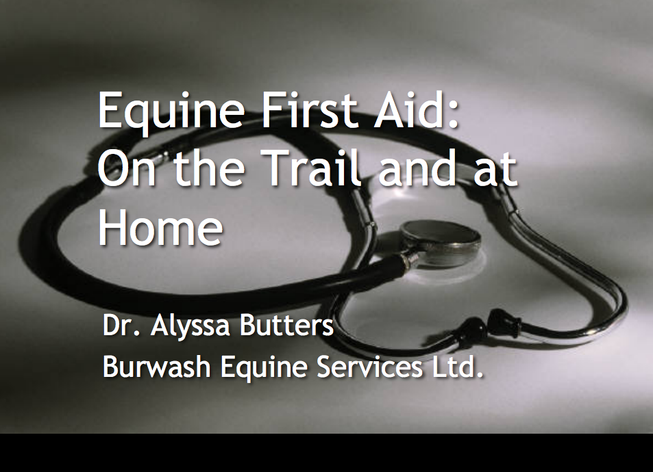 first aid emergency horse equine vet veterinarian doctor Cochrane Calgary Alberta
