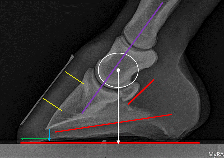 X-ray parameters.png