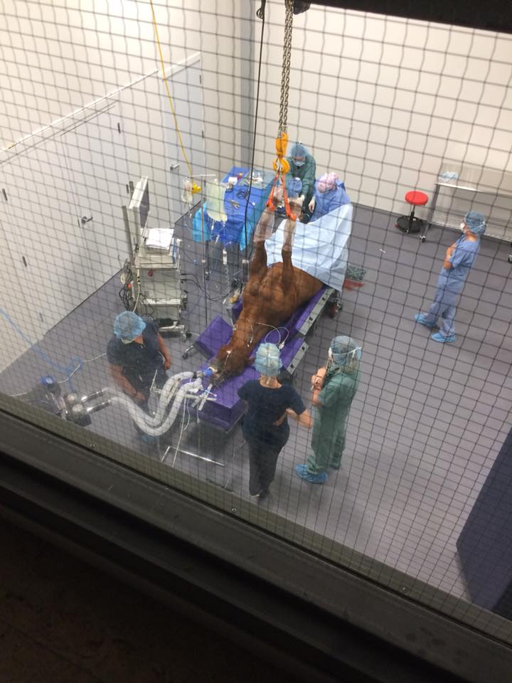 surgerysuite.jpg