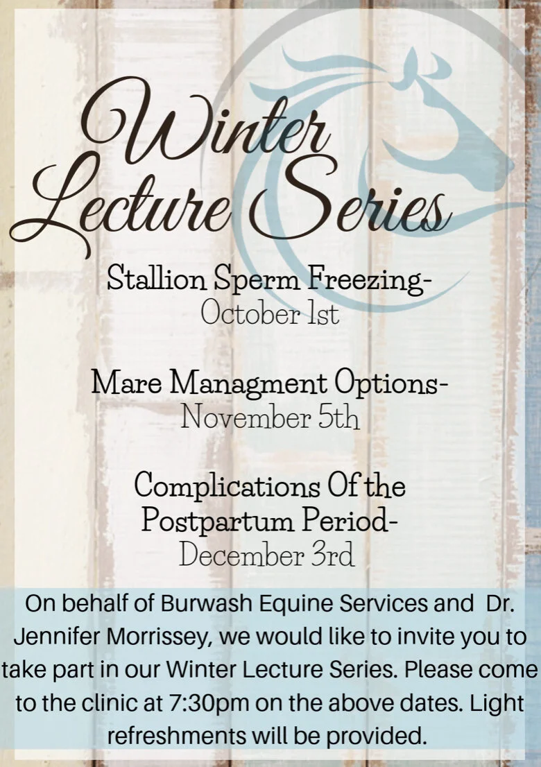 Winter Lecture Series Poster.jpg