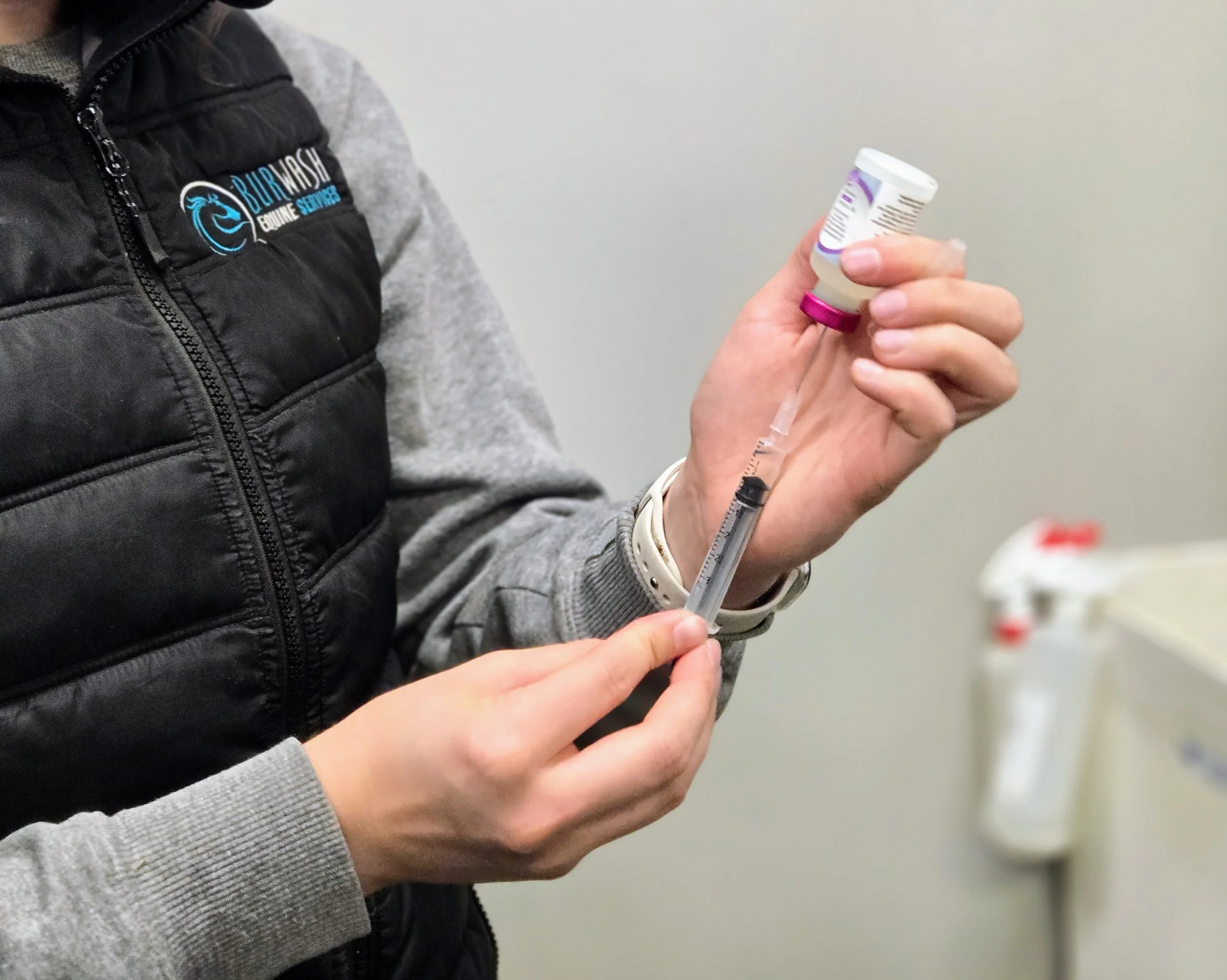 An Update: EHV/Equine Herpes Virus