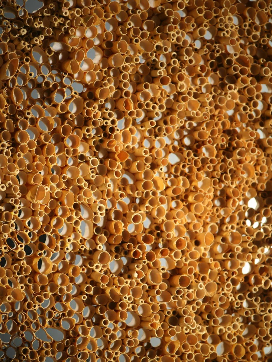TubesBackdetail.jpg
