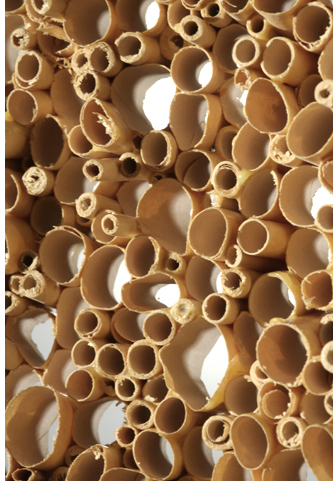 tube2_back.jpg