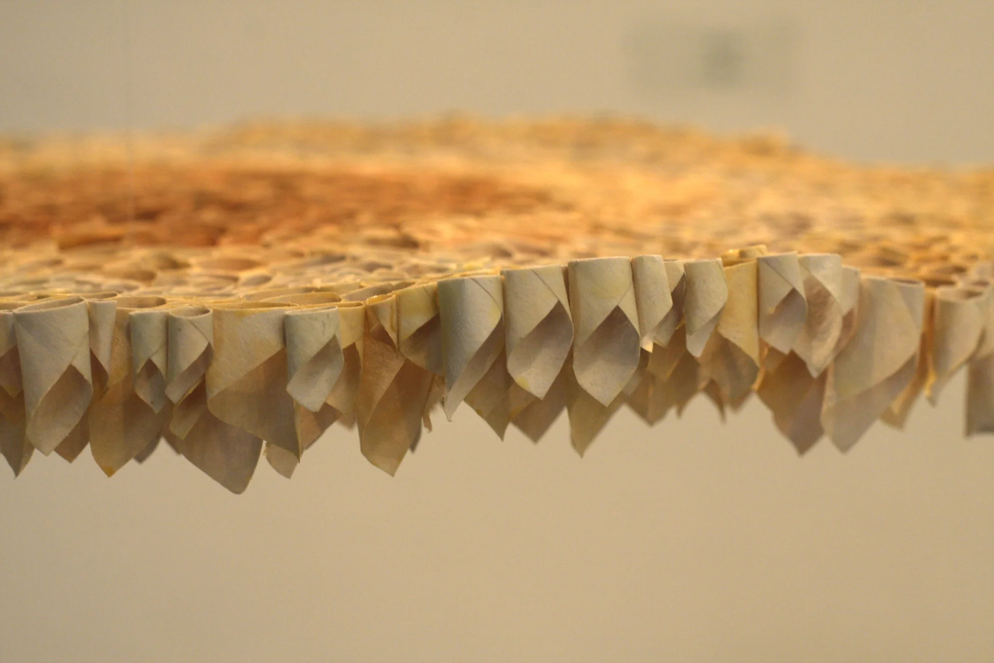 Cellulose#3_edgedetail_sm.jpg