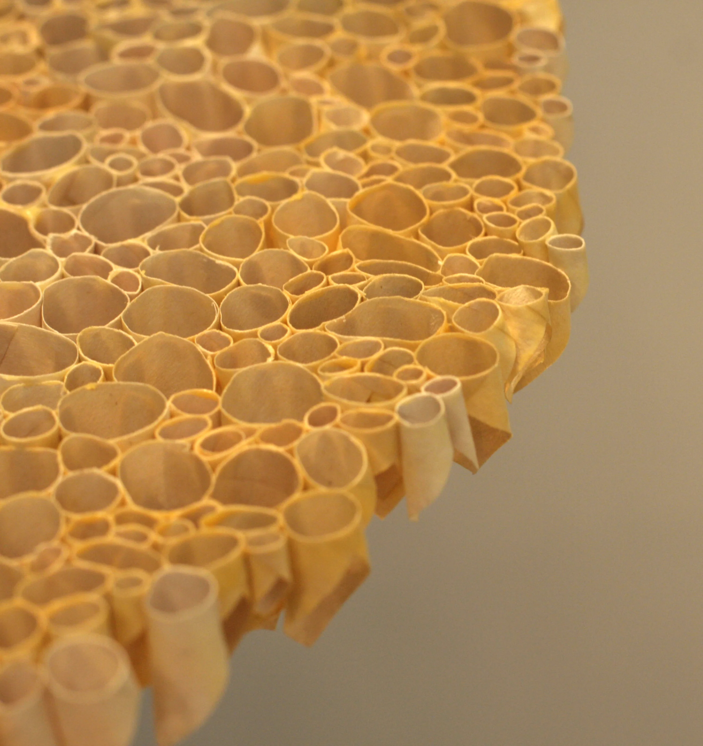 Cellulose#3_topedge.jpg
