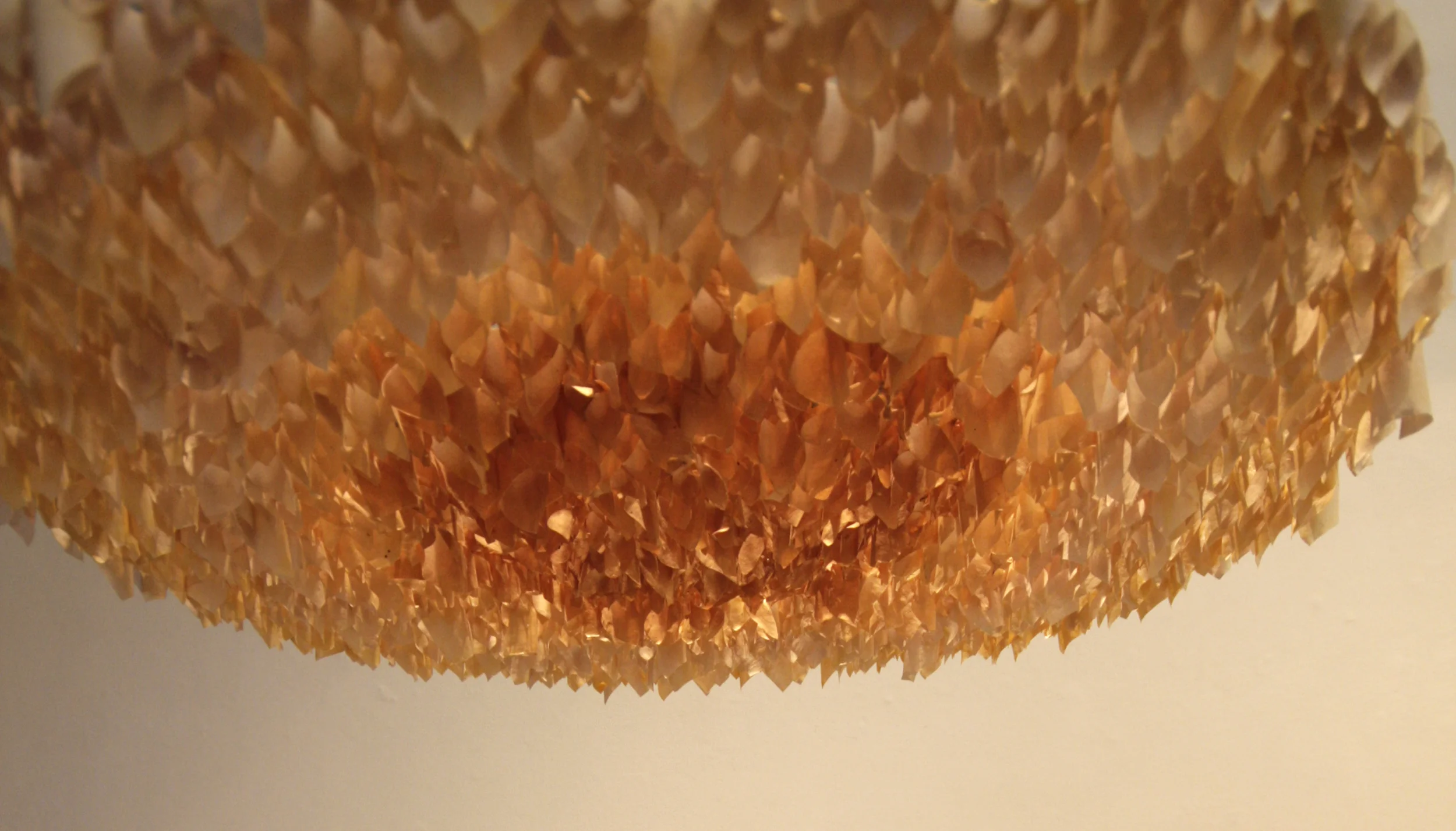 Cellulose#3_underside_crop.jpg