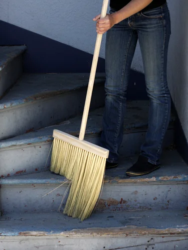 stepsweeper_sm.jpg