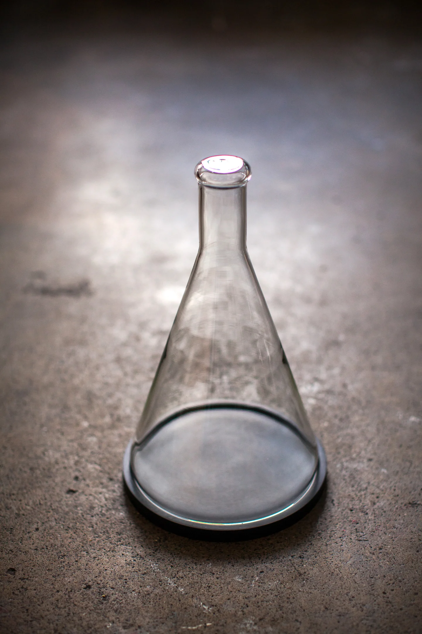 Erlenmeyer_sm.jpg