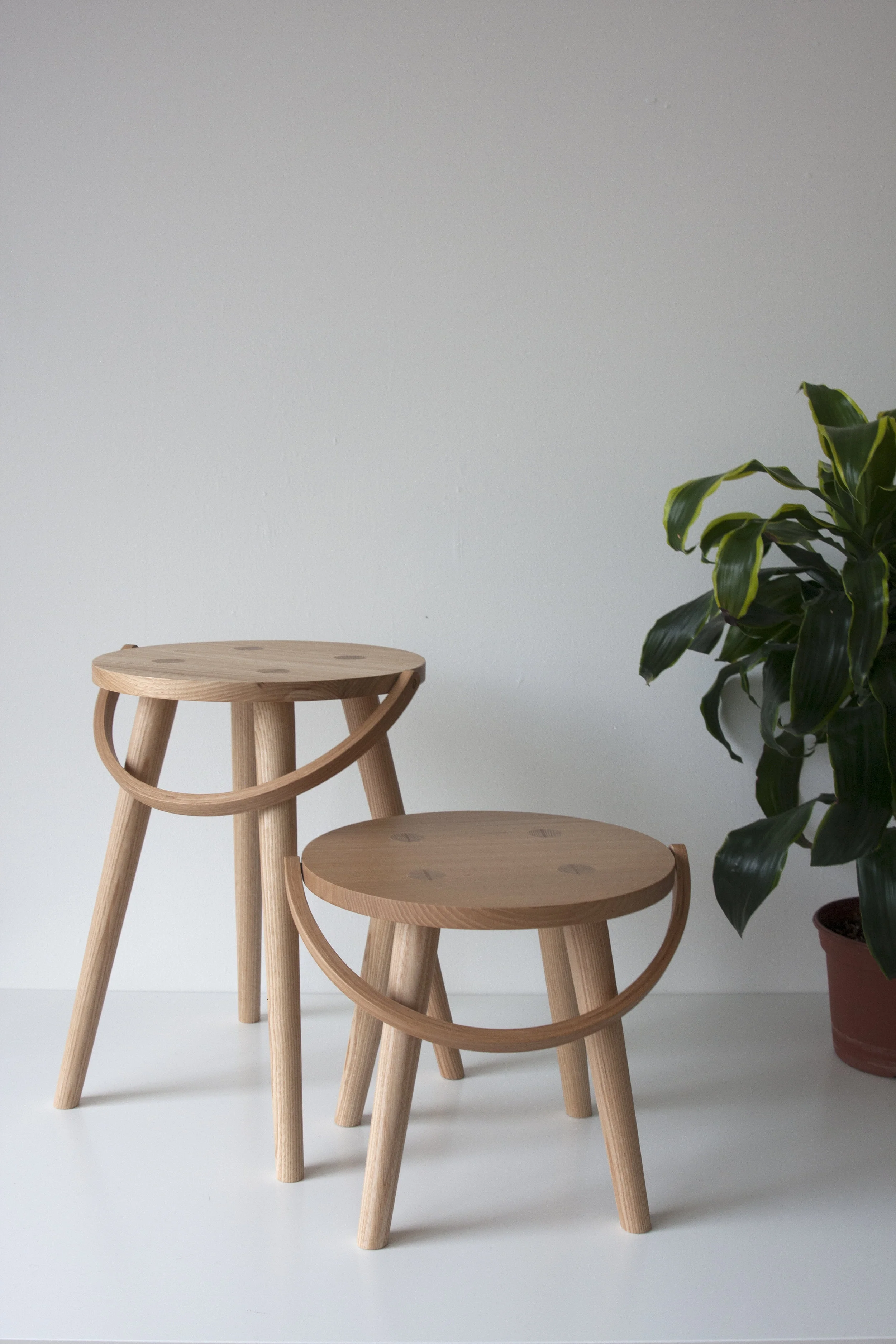 Tall_Step_plant.jpg