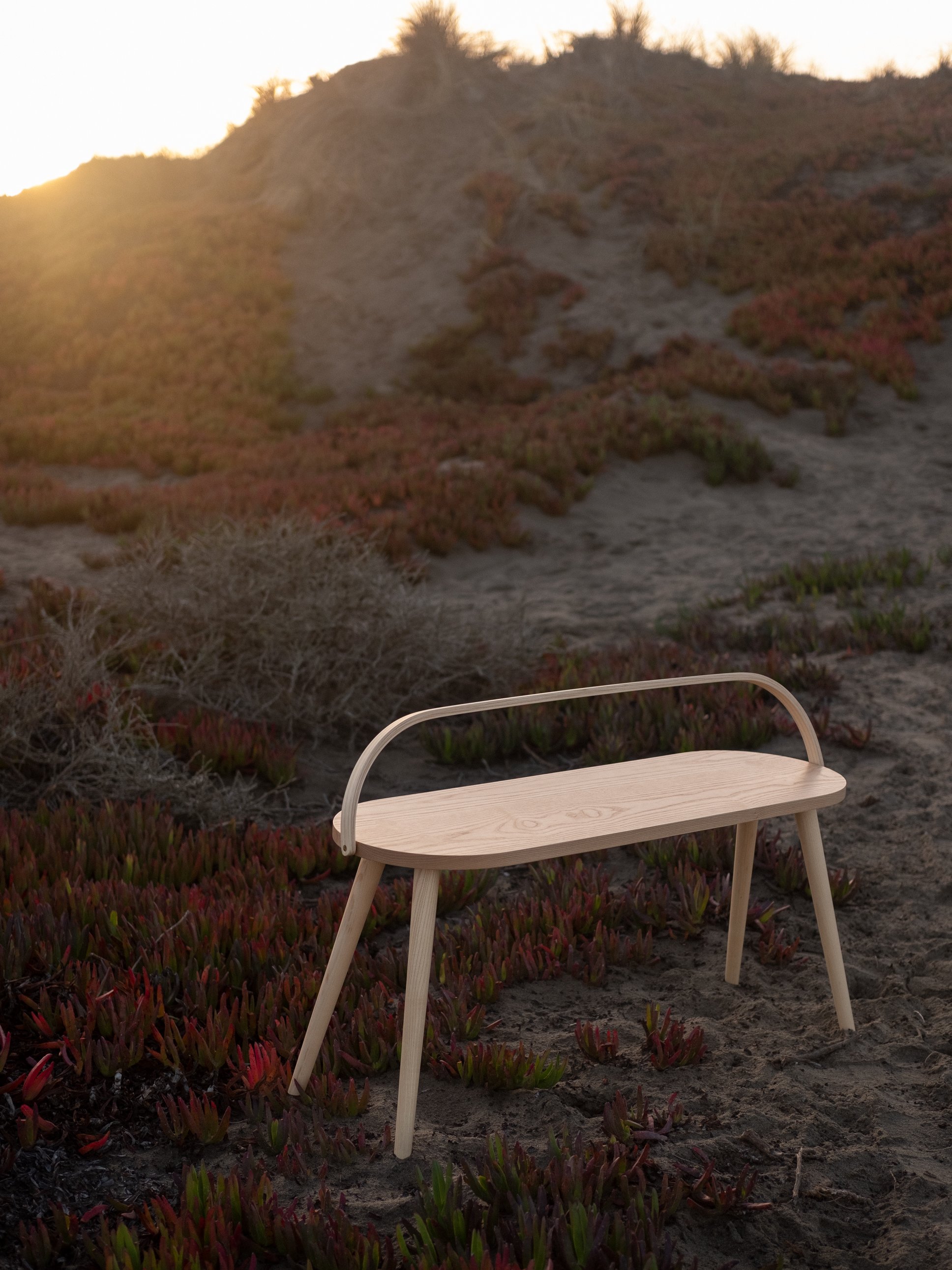 OceanBeachBench-12.jpg