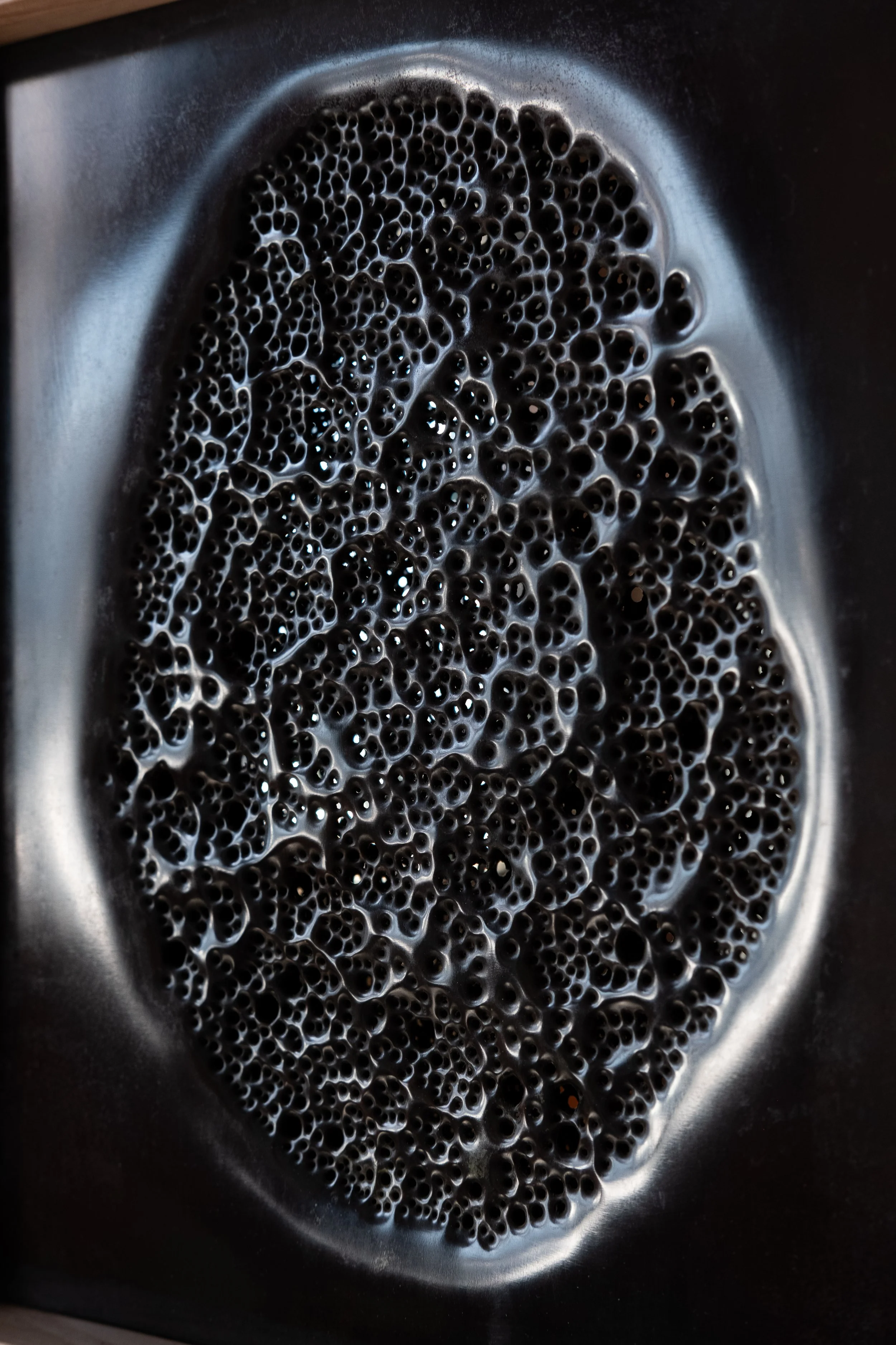 DSCF1870.jpg
