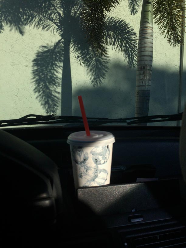 Iced Palm