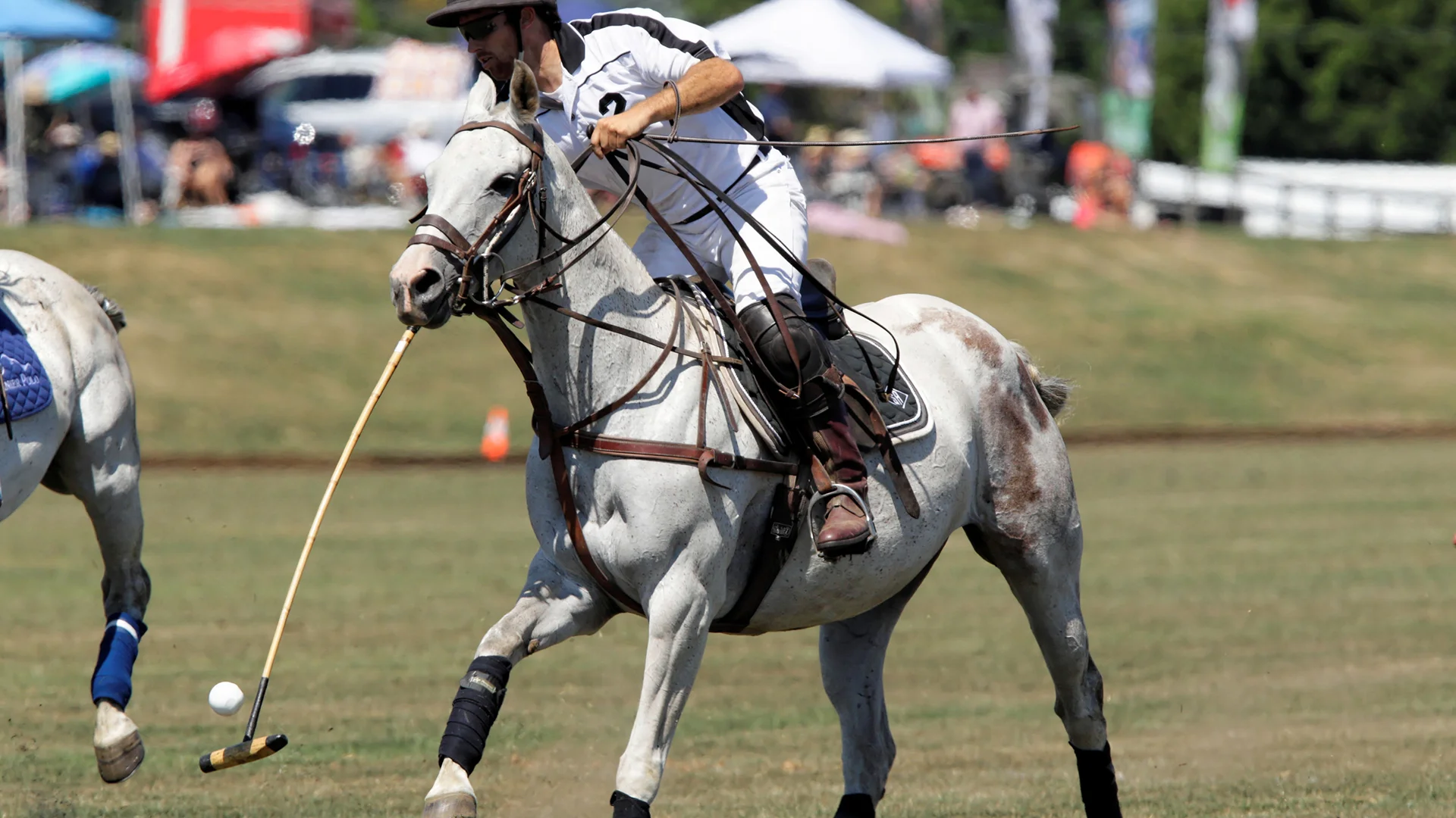 20140810131622__C9D3312_Towell-3453096707-H.jpg