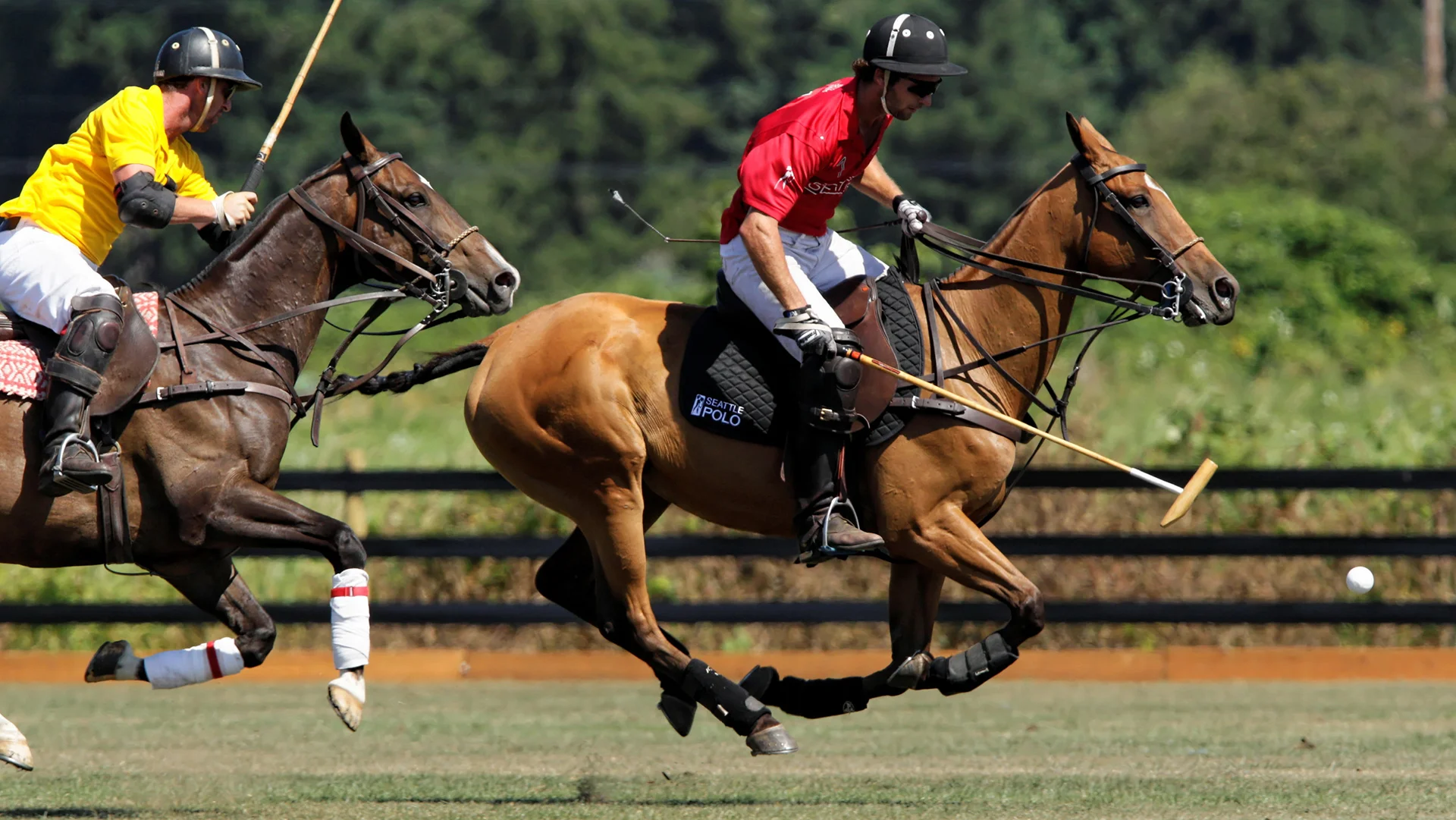20140810144450__C9D4100_Towell-3453047585-H.jpg