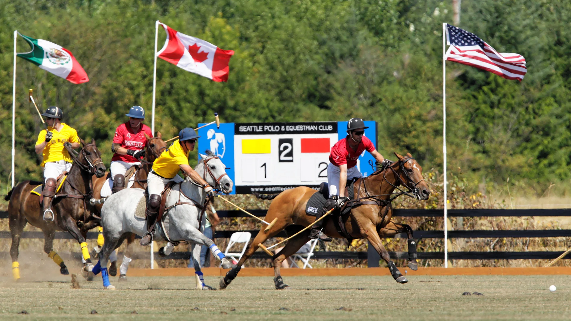 20140810145246__C9D4266_Towell-3453056229-H.jpg