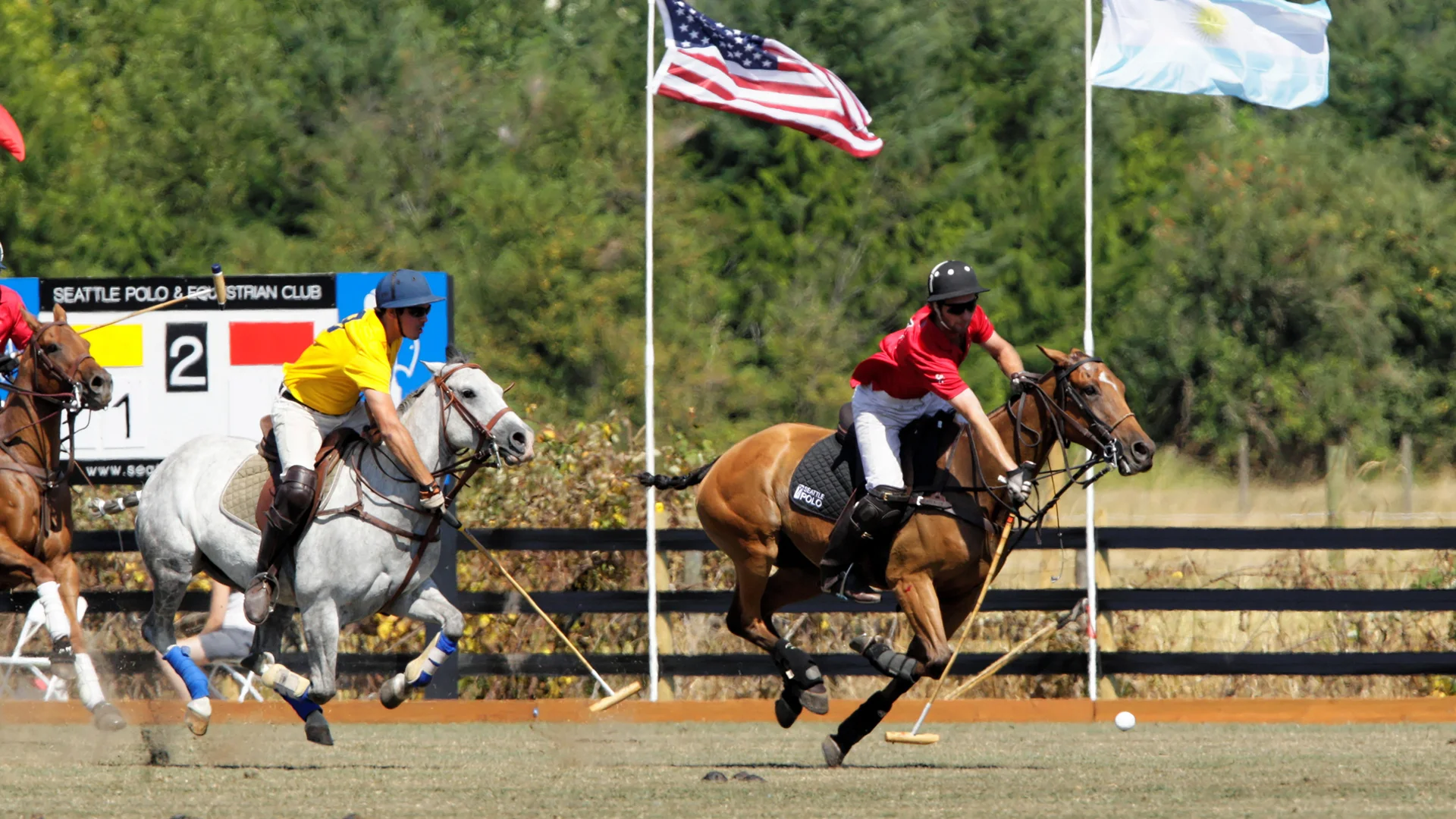 20140810145246__C9D4268_Towell-3453057080-H.jpg