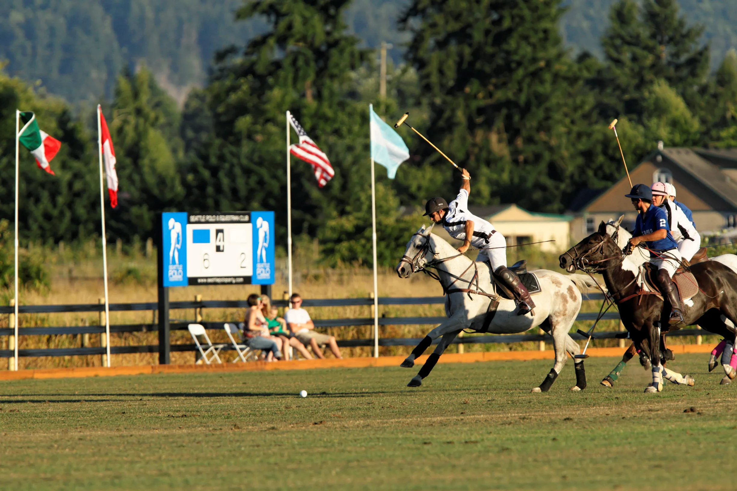 20140809192621__C9D2427_Towell-3449062720-H.jpg
