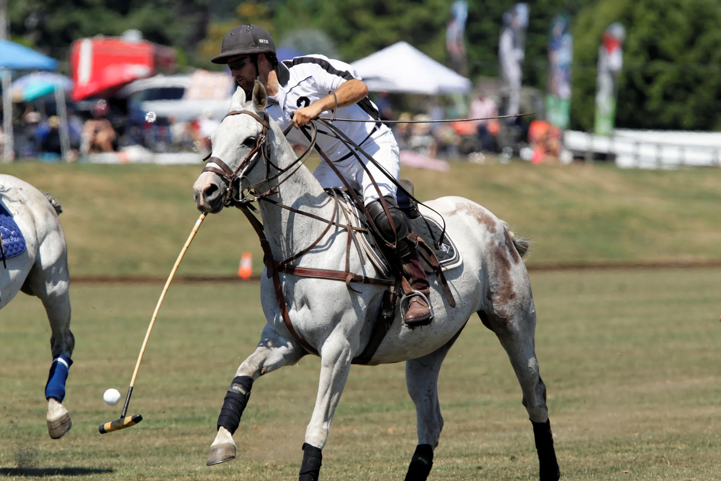 20140810131622__C9D3312_Towell-3453096707-H.jpg