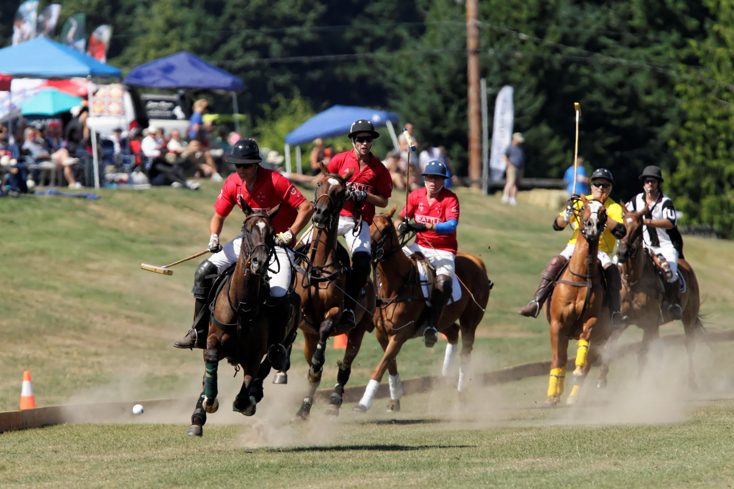 20140810151530__C9D4500_Towell-3453060944-H.jpg