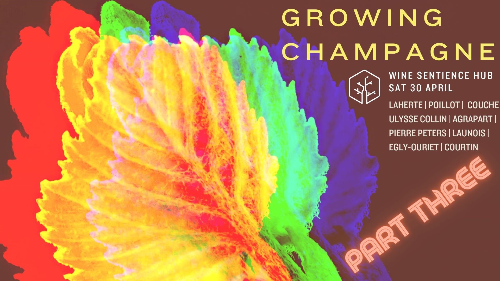 Growing Champagne Part Three Facebook.jpeg