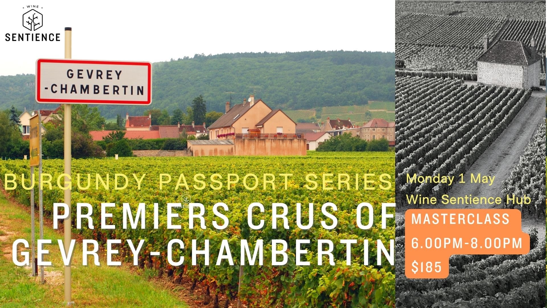 Gevrey 1er wide.jpeg