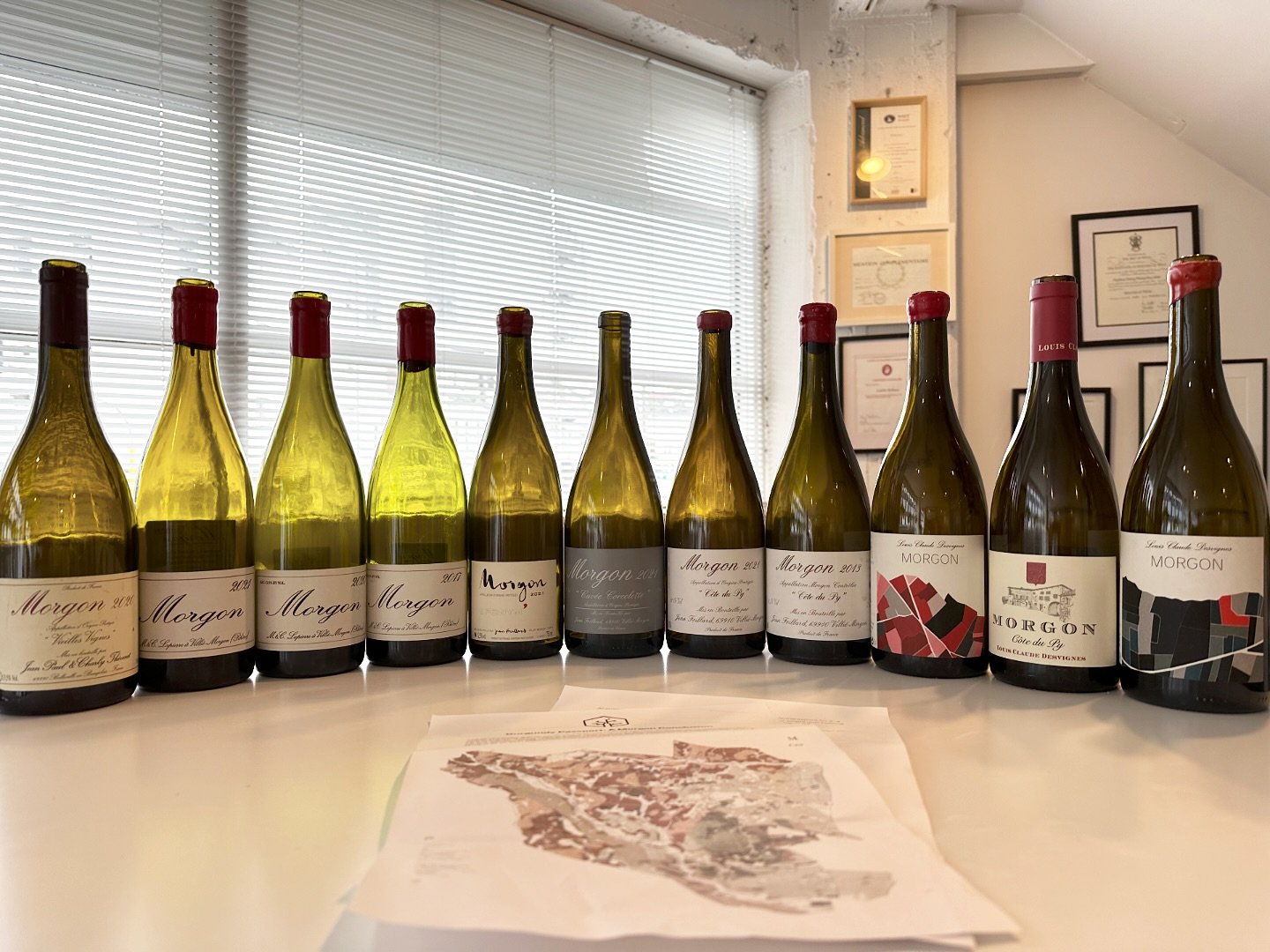 On Monday, we held the last Burgundy Passport to be hosted on Vivian St. and it was fitting that the journey returned to Morgon, the Beaujolais Cru where the quality revolution (and the natural wine movement) began. With both horizontals and vertical