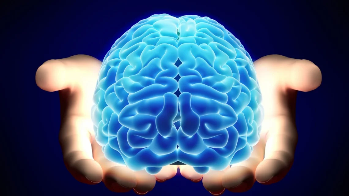 Can We Grow Our Brain?