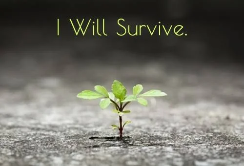 I Survived, Now What?