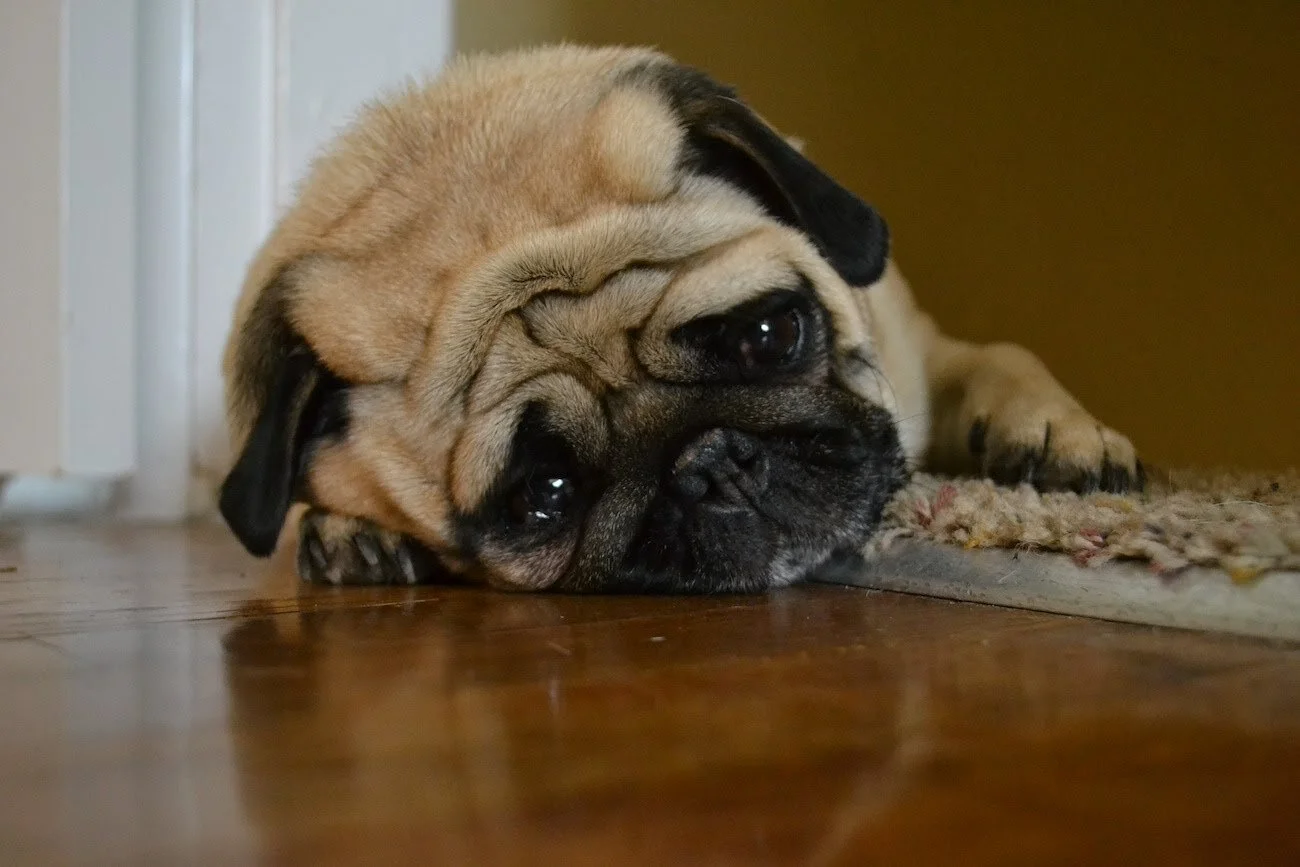 Sometimes, I Just Can't Be Bothered!