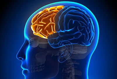 Reconnect With Your Logic Brain.
