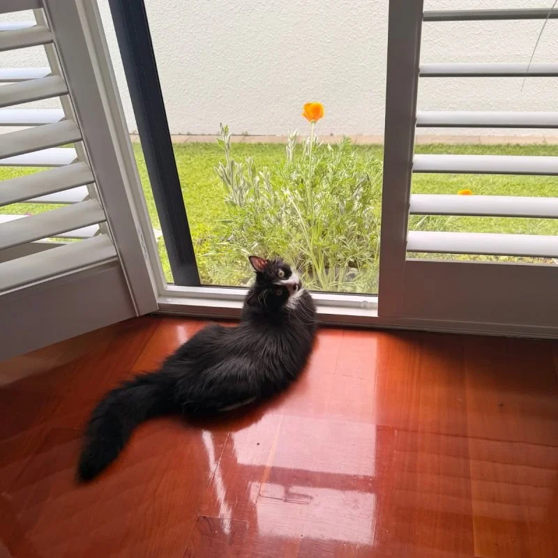 When You Get Caught!