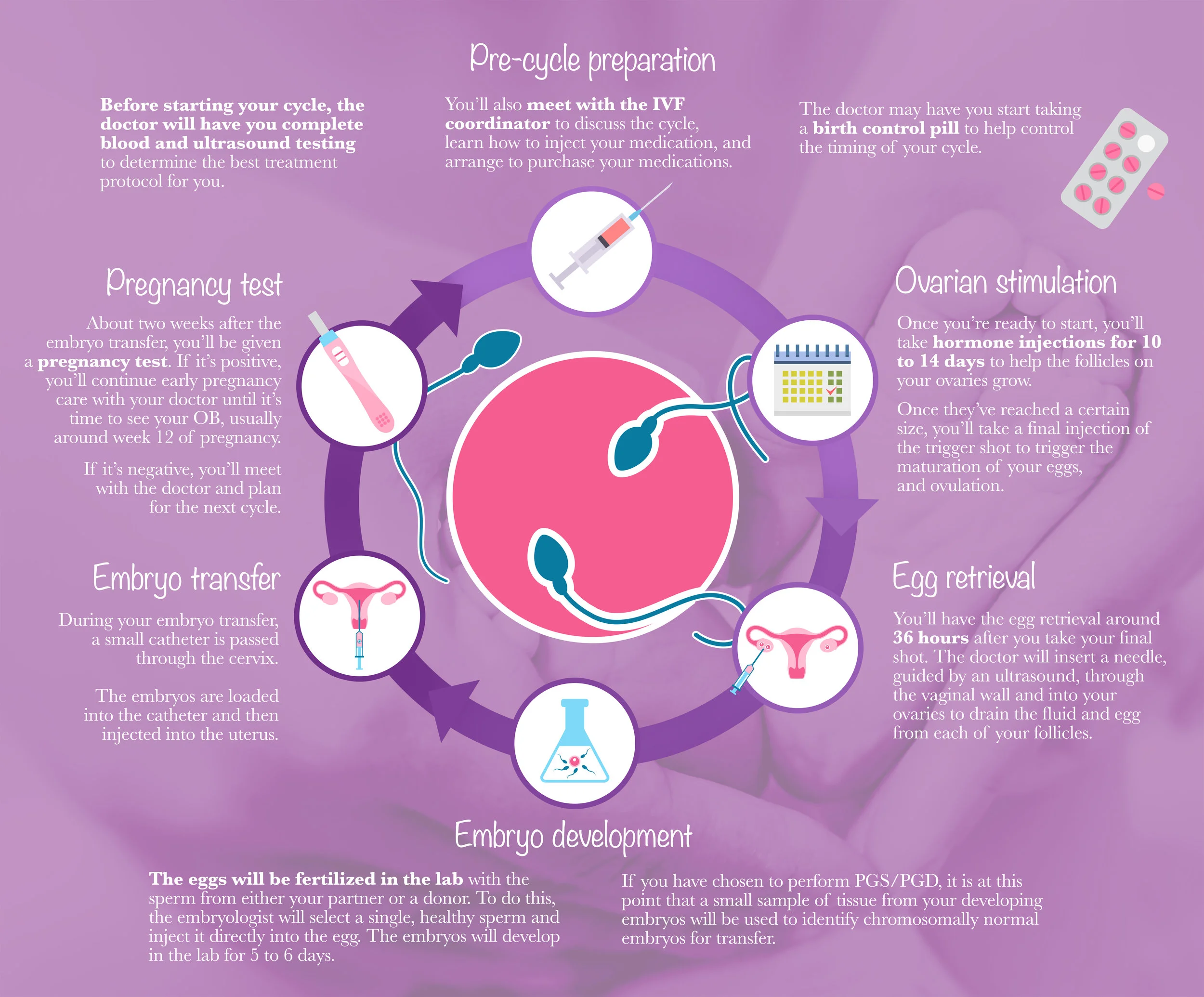 What happens during IVF?