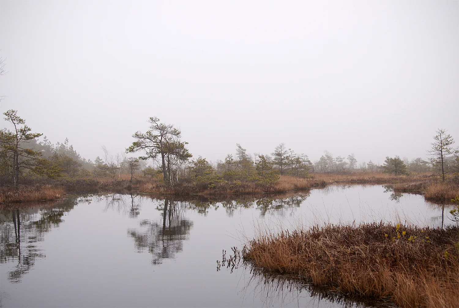 Natural peat lake in Aukstumala, Lithuania